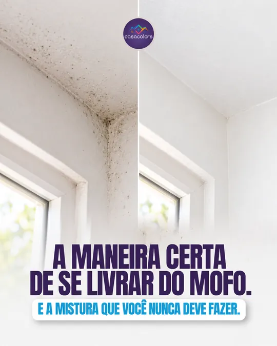 Post da Casa Colors feito pelos heads da Flow Go